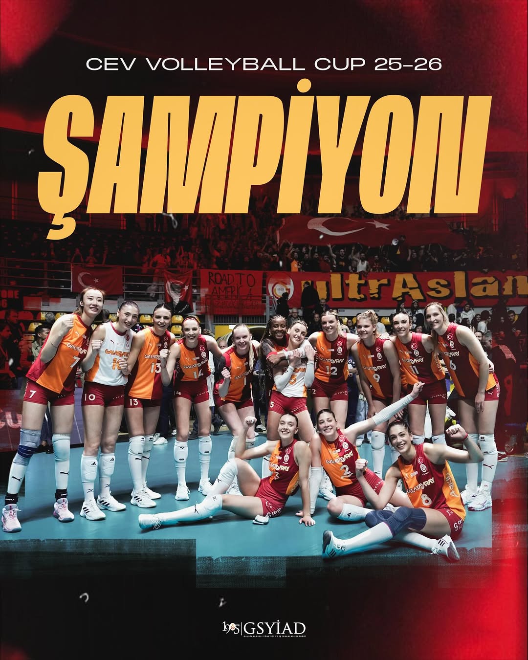 CEV Kupası’nda ŞAMPİYON GALATASARAY DAIKIN! 💛❤️

Tebrikler @gsvoleybol 🏆